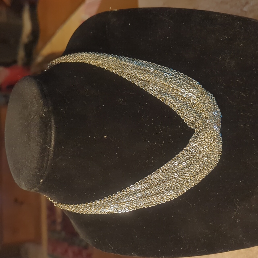 Express Silver Tone Necklace